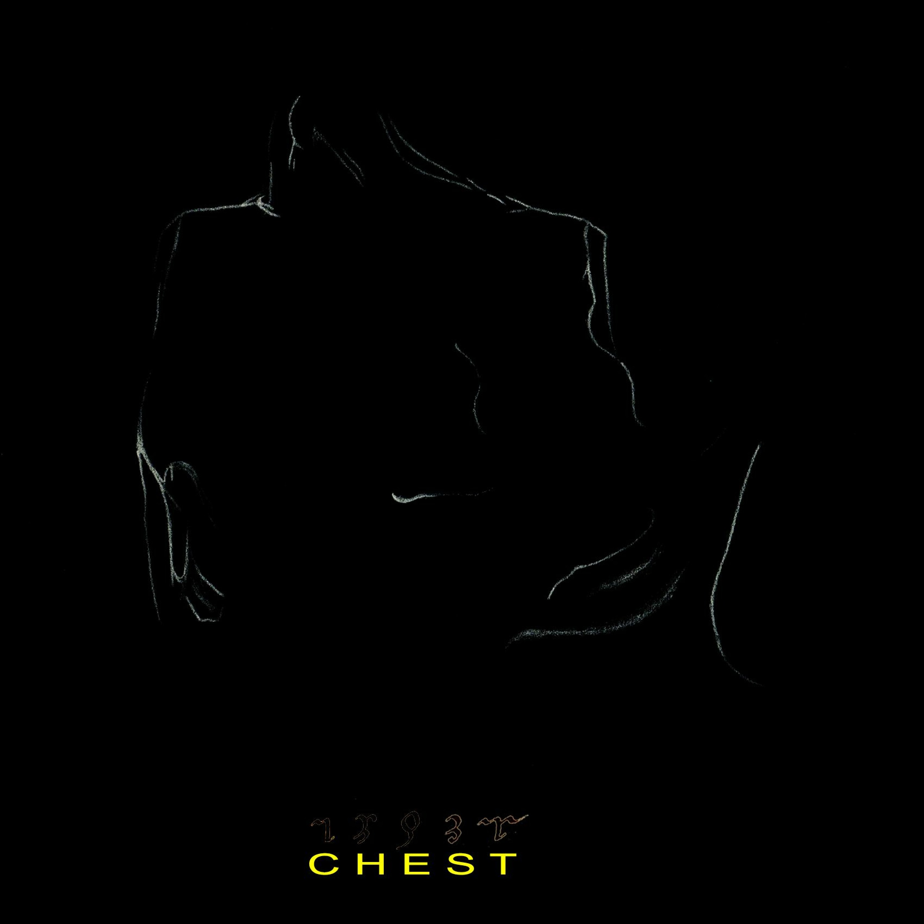 CHEST#29 - - - - - ashes o anagrams