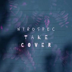 Take Cover