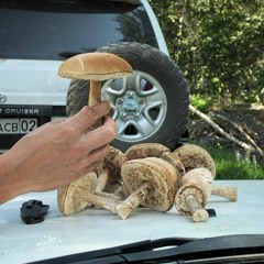 Train Station Vol.30 mixed by Aidar