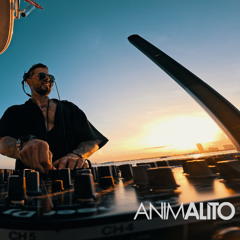 MIAMI VIBES 2025 - ANIMALITO