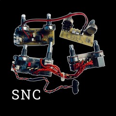 Spector Euro 4LX, SNC 2-Band, EMG P4-J(r) Flat