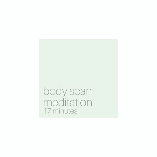 The Body Scan Meditation 17 Minutes