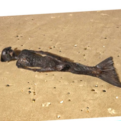 henny - fiji mermaid (kuru)