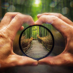 Through a New Lens
