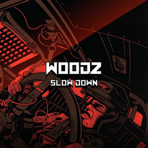 WOODZ - SLOW DOWN ( CHRISTMAS FREEBIE )