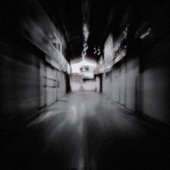 Robusta100 -Javid X Mahali