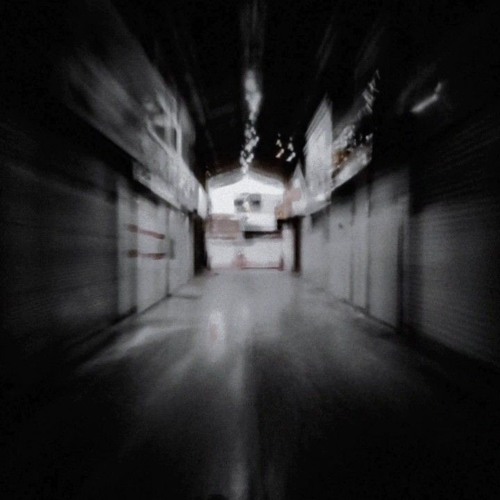 Robusta100 -Javid X Mahali