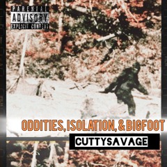 Scammers On Tha Loose