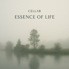 Cellar - Essence Of Life (original Mix)