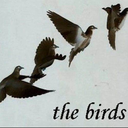 Rollerblading Accident Holocaust