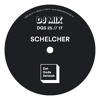 DGS25 // 17 - Schelcher DJ mix artwork - Electronic music tracklist cover image