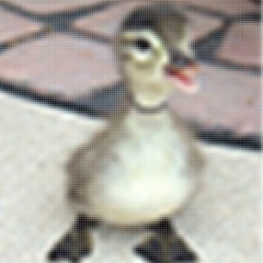 rockstar2 prod. zvne