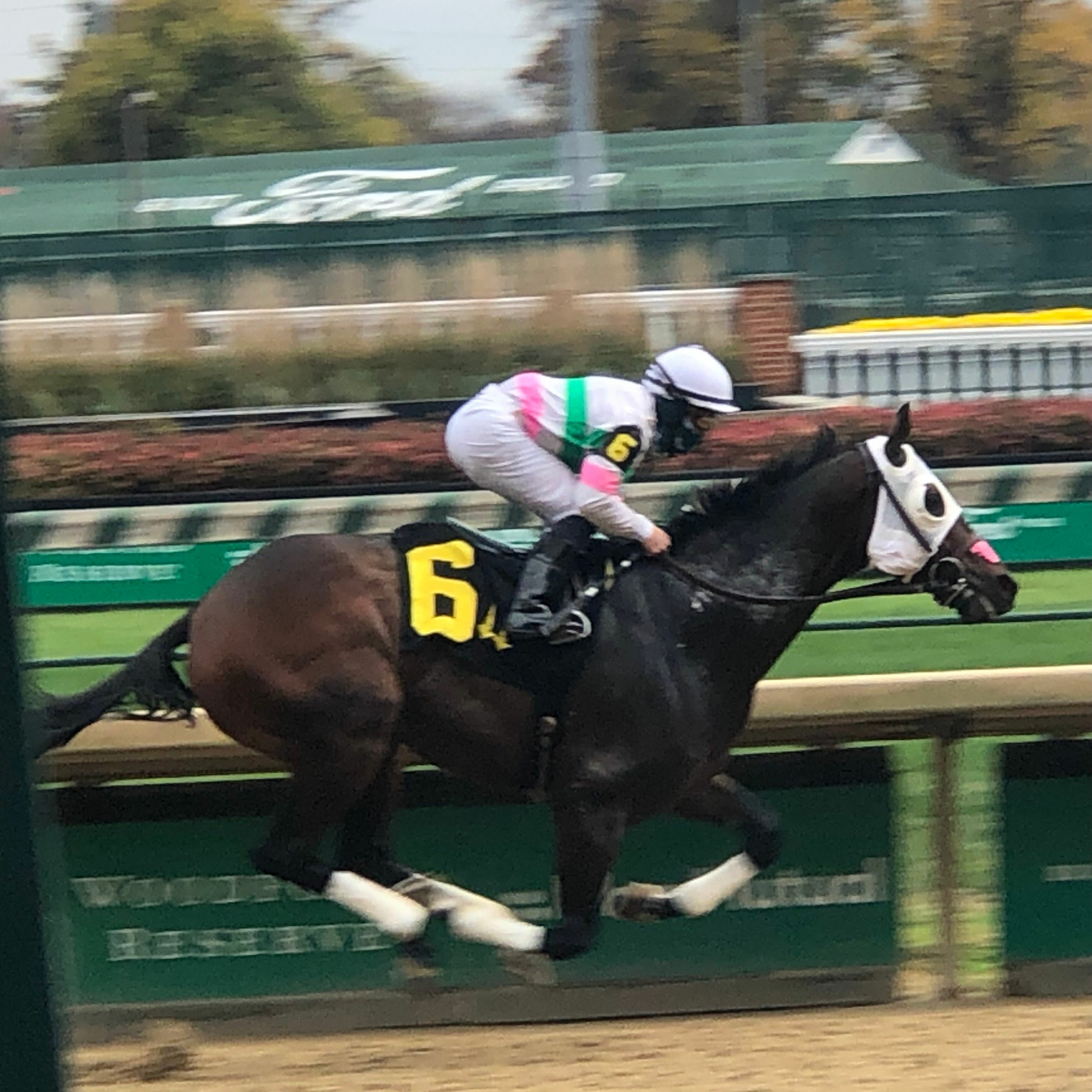 The Auxiliary Gate - Kentucky\'s Horse Racing Discussion