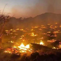 The Penguins Raze A Village