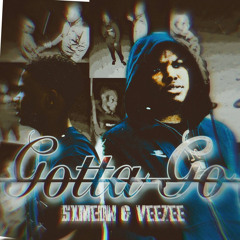 Gotta Go ft. Veezee