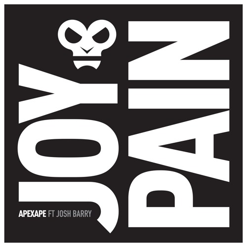 Joy & Pain (Radio Edit) [feat. Josh Barry] by APEXAPE