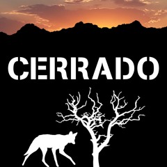 CERRADO - GABRIEL CABEÇA - PROD. MANDRALAB