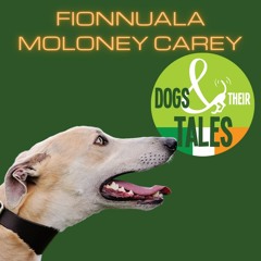Fionnuala Moloney Carey: IRGT Dogs and Their Tales