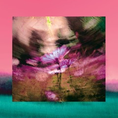 Raja Luth Hasan - Blown Up Roses
