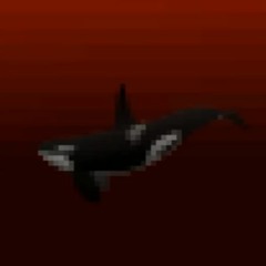 Yori - Killer Whale