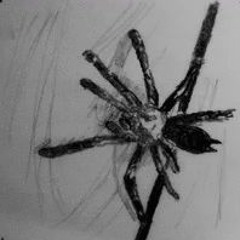 as i walk through the door