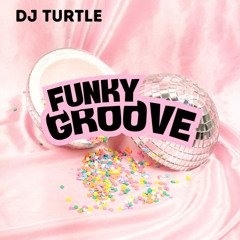 Dj Turtle - Funky Groove