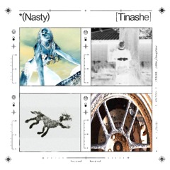 Tinashe Nasty (Little Slaughter Remix)