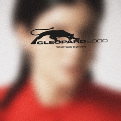 LORDE - WHAT WAS THAT???? (Cleopard2000 remix) FREE DL