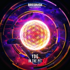 YDG - In The Pit