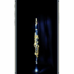 A GOLDEN CLARINET!!!