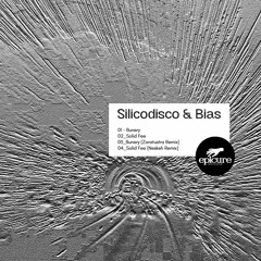 PREMIERE: Silicodisco & Bias - Solid Fee [EPICURE RECORDS]