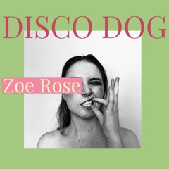 Disco Dog