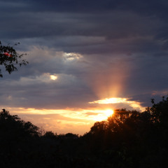 i miss you everday icl