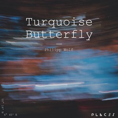 Turquoise Butterfly