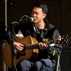 birds-of-a-feather (live)