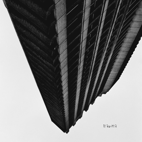 Téo Dréan - Choper La Mort (Original Mix) [TRM128]