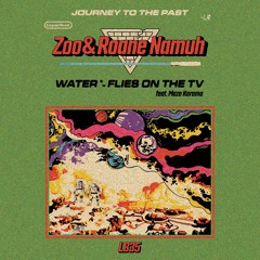 Zoo & Roane Namuh - Water b/w Flies On The TV 7"