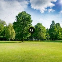 SATURDAY in the PARK Mix
