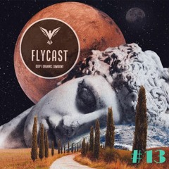 Flycast #13