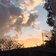 Let the light in-  Catrina Seiffert