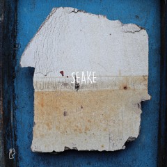 Seake - Care For You