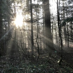 Progressive / Ambient
