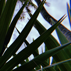 MINIMAL-TECHNO-SIEMREAP-REC-2025-11-21