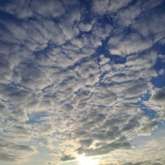 Dreamland
