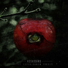 Brainwash - I'm a Hard Bass Creator (Assassins Remix)