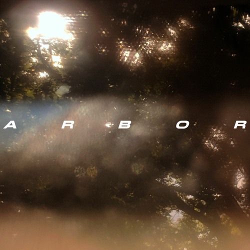 Arbor - Who Knows