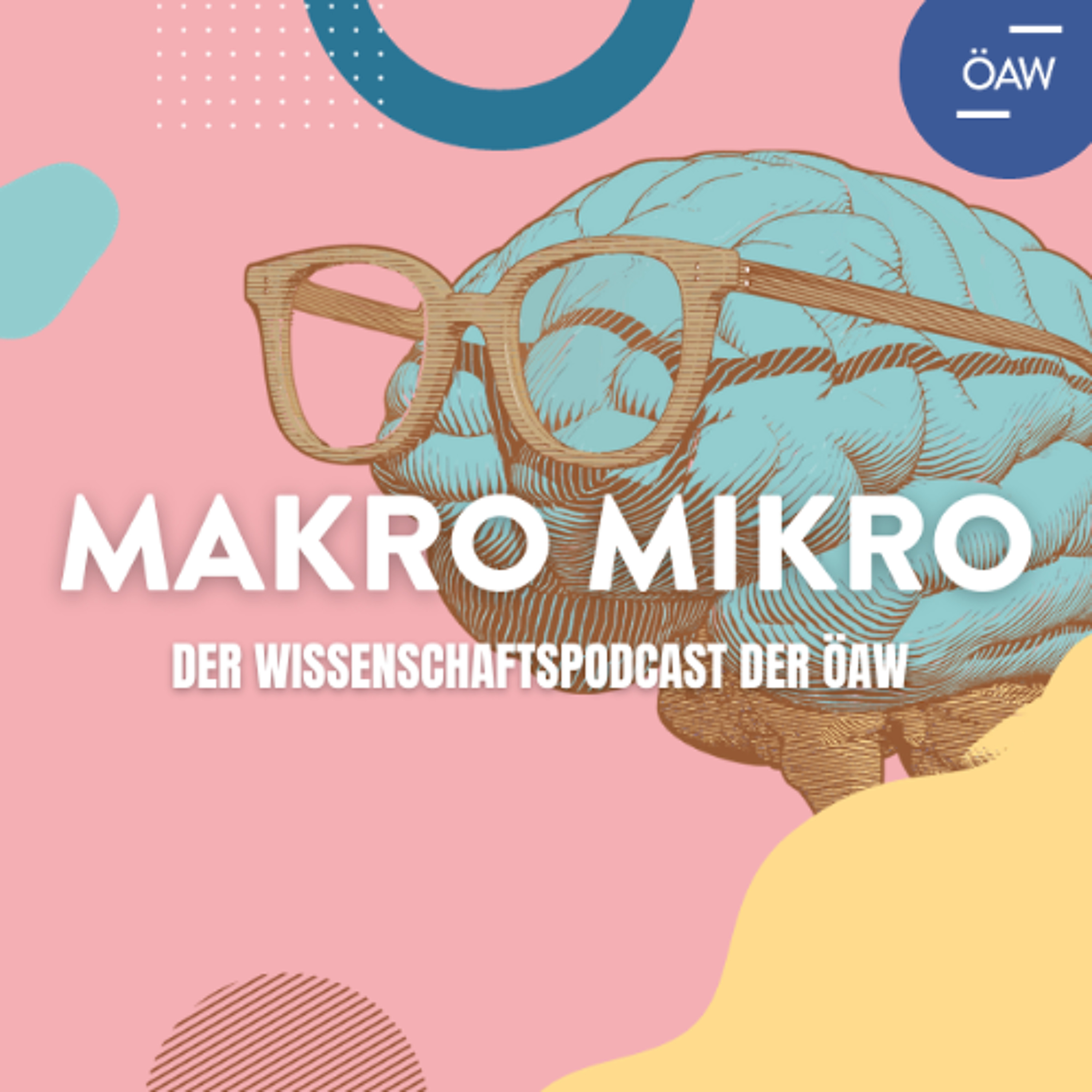 Makro Mikro