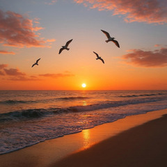 Sunrise Shimmer