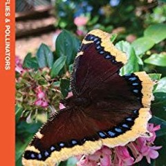 [View] EPUB 📥 Michigan Butterflies & Pollinators: A Folding Pocket Guide to Familiar