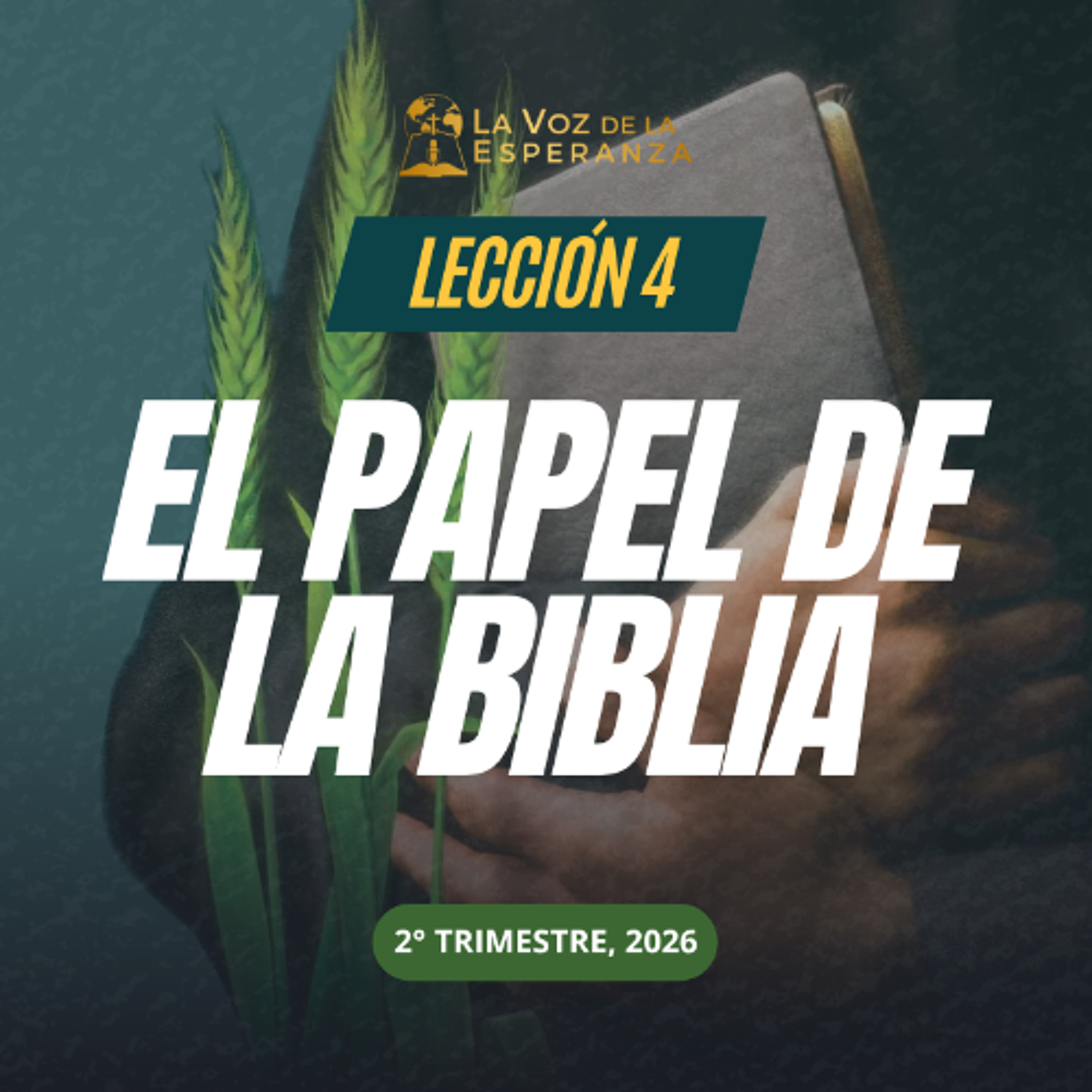 Lección 04 - El papel de la Biblia